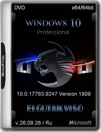 Windows 10 Pro 1809 Build 17763.9247 by Elgujakviso Edition