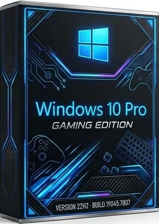 Windows 10 Pro Gaming Edition 22H2 Build 19045.7807